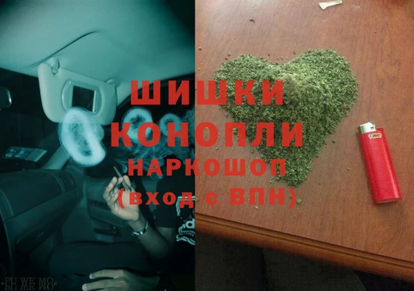 амф Осташков